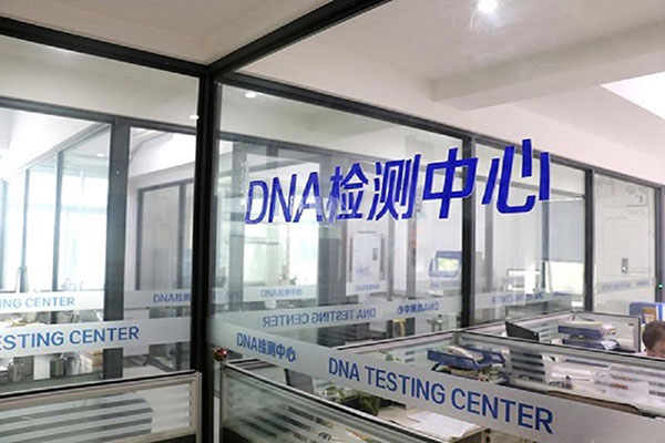 ϳDNA